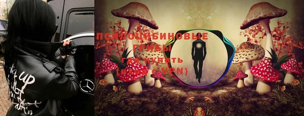 гашик Арсеньев