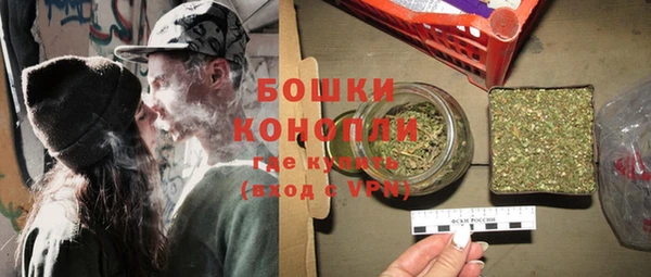 PSILOCYBIN Балахна