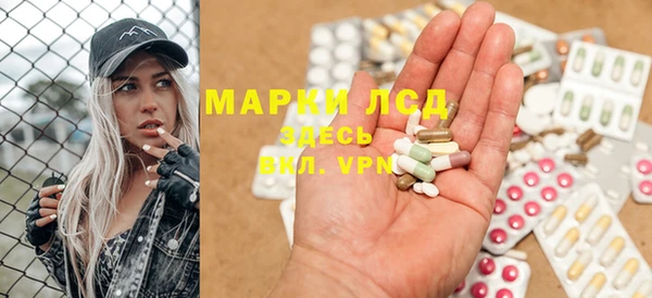 гашик Арсеньев